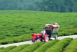 又一波財政扶持資金來襲，農(nóng)綜特色項目2018年申報啟動