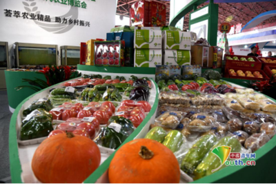 第九屆唐山農(nóng)產(chǎn)品展示交易會暨樂亭現(xiàn)代農(nóng)業(yè)博覽會開幕，聚焦畜產(chǎn)品購銷貿(mào)易