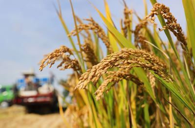 江蘇南通 財政金融協(xié)同支農(nóng)，省內(nèi)首創(chuàng)農(nóng)擔貼息政策