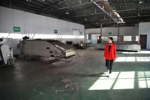 一片茶葉，萬千氣象——新華社關注平利以茶飲產業引領鄉村振興新實踐