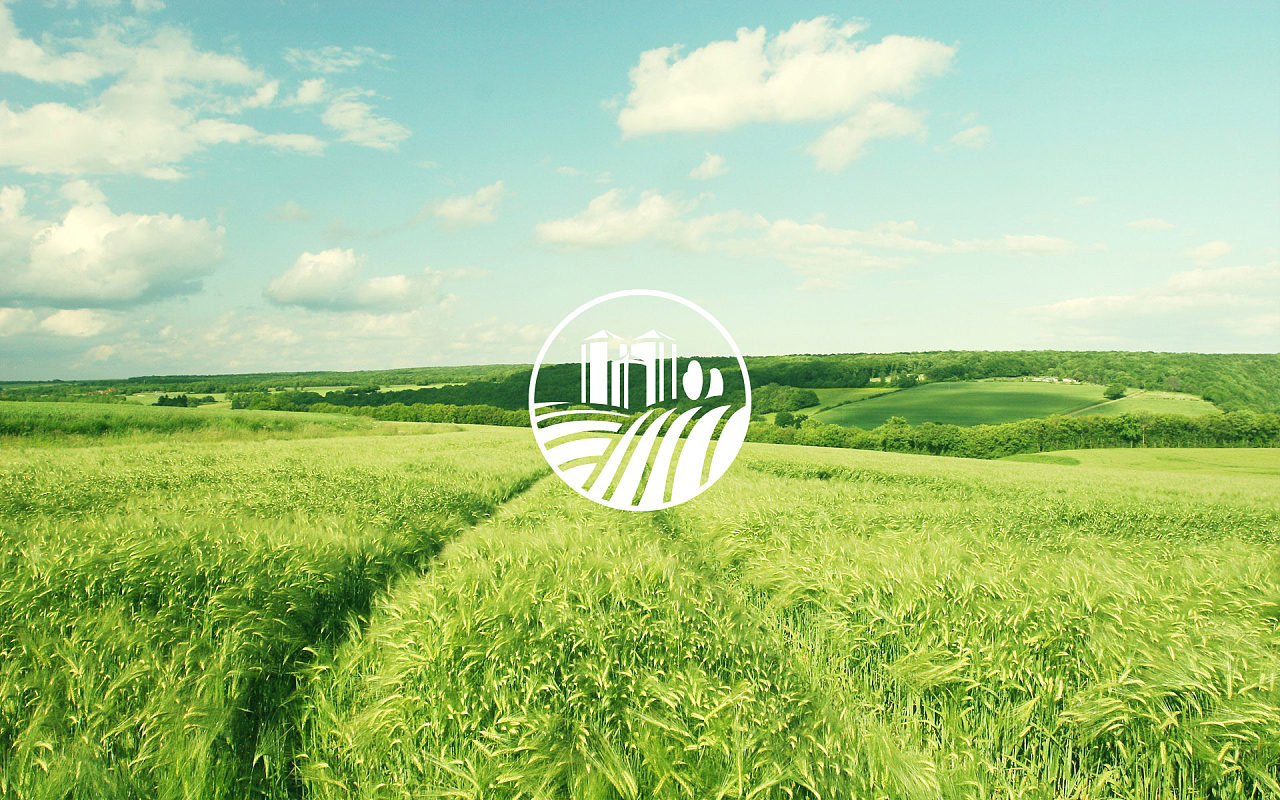 我出沒熊注意——探索綠色食品企業(yè)的LOGO設(shè)計(jì)理念